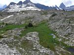 Cdn Rockies Adventure (Aug 2010) - Talus - 065
